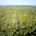 Tract 3 Mayflower Road  Clay City IL 62824