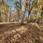 Lot 1783/84 Blueberry Drive  Varna IL 61375
