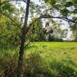 Lot 615 Brookside Drive  Varna IL 61375