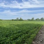 Will Cook Rd.+ Southwest Highway  Mokena IL 60448