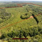 Tract 2 Mint Lane  Clay City IL 62824