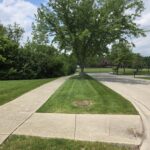 1074 - 1078 Sante Fe Stre Street  Bartlett IL 60103