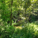 3733 Deerwood Drive  Long Grove IL 60047
