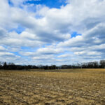 26155 IL Route 120   Grayslake IL 60030