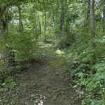 LOT 63 and 78 Cobble Creek Lane  Heyworth IL 61745