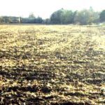 1644 Grove Avenue  Rantoul IL 61866