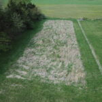 24230 6000 Road  Essex IL 60935