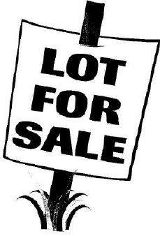 Lot 16 Majestic Oaks Lane  Spring Valley IL 61362