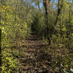 23976 Beach Grove Road  Antioch IL 60002