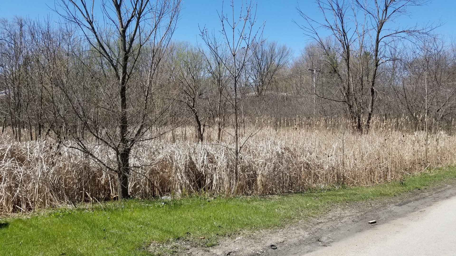 27W0S Roosevelt Road  Winfield IL 60190