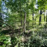 North Route 23 Highway  Streator IL 61364