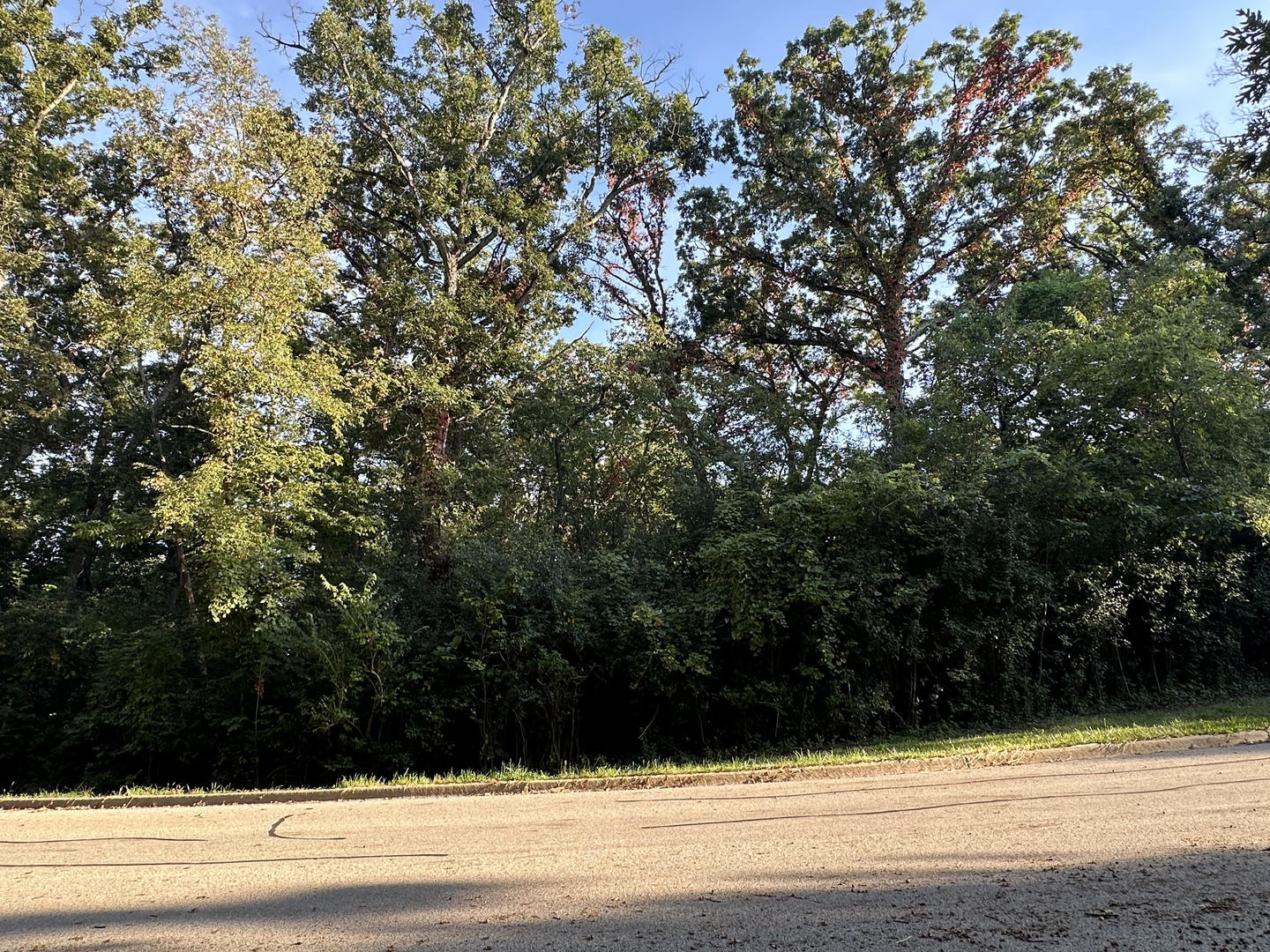 7319 Forest Oak Drive  McHenry IL 60050