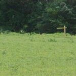 705 Keller Drive  Dixon IL 61021