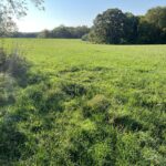 3-521 Shady Lane  Lake Carroll IL 61046