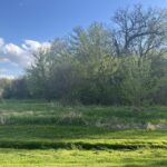 10909 Pebble Drive  Huntley IL 60142