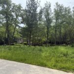 3888 Carlisle Drive  Crystal Lake IL 60012