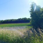 4541 14th Road  Earlville IL 60518