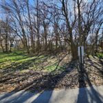 16490 Belleplaine Road  Markham IL 60426