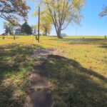 4500 E. River Road  Ridott IL 61067