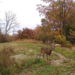 618 Princeton Road  Depue IL 61322
