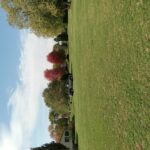 0 10th Avenue Albany IL 61230