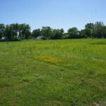 0 Division Street  Diamond IL 60416