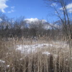 27W0S Roosevelt Road  Winfield IL 60190