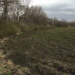 0000 Merchants Street  Essex IL 60935