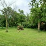 109 Creekside Drive  Elwood IL 60421