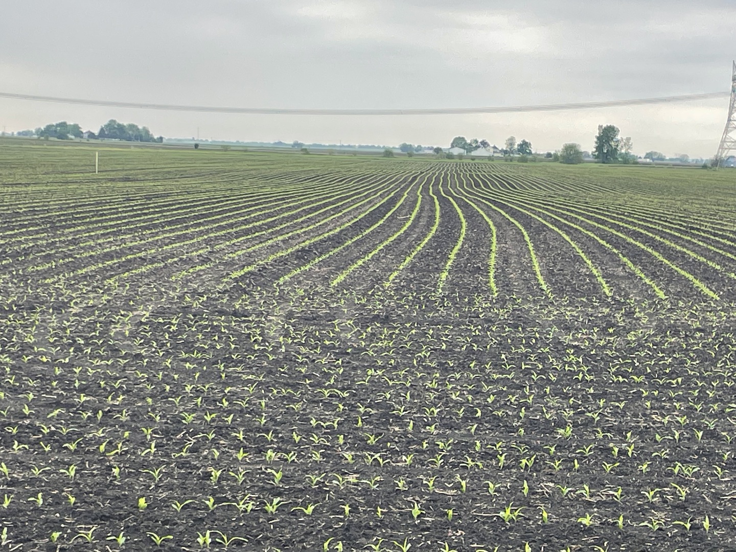 15771 Brisbin Road  Minooka IL 60447