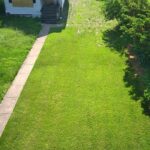 7736 Indiana Avenue  Chicago IL 60619