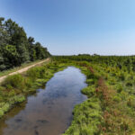 Tract 4 Mayflower Road  Clay City IL 62824