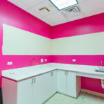 11225 159th Street a Orland Park IL 60467