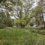 3349 Mill Road  Cherry Valley IL 61016