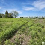 1999 Silver Cross Boulevard  New Lenox IL 60451