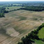 21210 Grass Lake Road  Lake Villa IL 60046