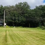 659 Maple Avenue  Mundelein IL 60060