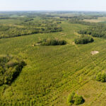 Tract 2 Mint Lane  Clay City IL 62824