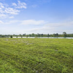 2812 Ninovan Lane  Minooka IL 60447