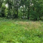 25570 High Street  Wauconda IL 60084