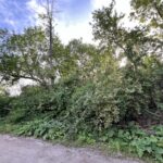 10401 Kenilworth Avenue  Algonquin IL 60102