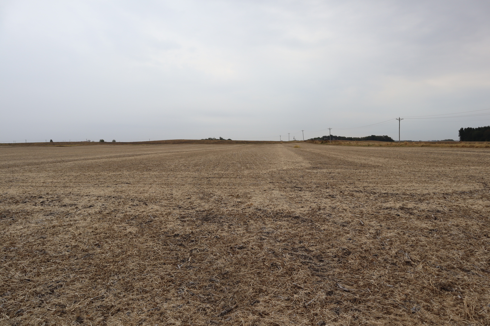 21111 550 Street Sheffield IL 61361