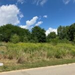 278 Crozier Drive  Grayslake IL 60030