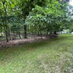 1105 Jay Court  Varna IL 61375