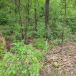 Lot4 Wisconsin Parkway  Delavan WI 53115