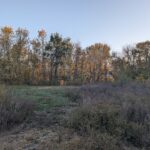 510 Grove Street  Farmer City IL 61842