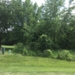 LOT 4 Williams Circle  Genoa IL 60135