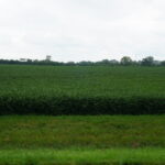 7500 Rt 50   Manteno IL 60950