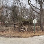 31918 Hillside Drive  Lakemoor IL 60051