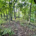 North Route 23 Highway  Streator IL 61364